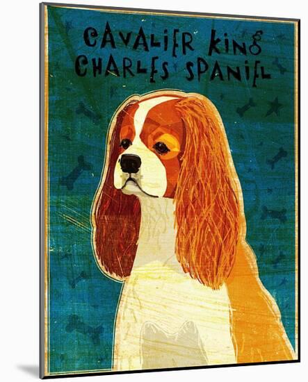 Cavalier King Charles (blenheim)-John Golden-Mounted Art Print