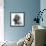 Cavalier King Charles Close-Up of Face-null-Framed Photographic Print displayed on a wall