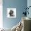 Cavalier King Charles Close-Up of Face-null-Framed Photographic Print displayed on a wall