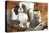 Cavalier King Charles Dog Puppy with Grey Kitten-null-Stretched Canvas