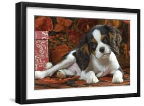 Cavalier King Charles Dog Puppy-null-Framed Photographic Print