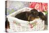 Cavalier King Charles Puppy Lying in Basket-null-Stretched Canvas