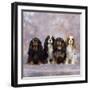 Cavalier King Charles Spaniel Dog-null-Framed Photographic Print