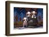 Cavalier King Charles Spaniel Puppies-Zandria Muench Beraldo-Framed Photographic Print