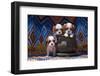 Cavalier King Charles Spaniel Puppies-Zandria Muench Beraldo-Framed Photographic Print