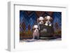 Cavalier King Charles Spaniel Puppies-Zandria Muench Beraldo-Framed Photographic Print