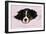 Cavalier King Charles Spaniel Puppy Lying-null-Framed Photographic Print