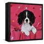Cavalier King Charles Spaniel Puppy Sitting-null-Framed Stretched Canvas
