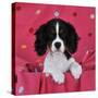 Cavalier King Charles Spaniel Puppy Sitting-null-Stretched Canvas
