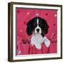 Cavalier King Charles Spaniel Puppy Sitting-null-Framed Photographic Print
