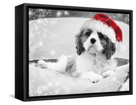 Cavalier King Charles Spaniel Puppy Wearing-null-Framed Stretched Canvas