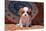 Cavalier King Charles Spaniel Puppy-Zandria Muench Beraldo-Mounted Premium Photographic Print