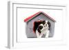 Cavalier King Charles Spaniels in Bed House-null-Framed Photographic Print