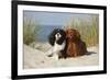 Cavalier King Charles Spaniels With Tricolor And Ruby Colourations On Beach, Texel, Netherlands-Petra Wegner-Framed Photographic Print