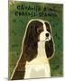 Cavalier King Charles (tri-color)-John Golden-Mounted Giclee Print