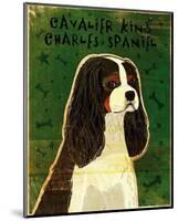 Cavalier King Charles (tri-color)-John Golden-Mounted Art Print