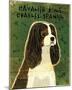 Cavalier King Charles (tri-color)-John W^ Golden-Mounted Art Print