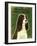 Cavalier King Charles (tri-color)-John W Golden-Framed Giclee Print