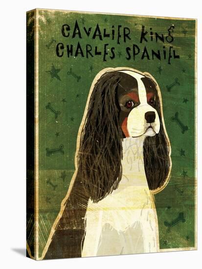 Cavalier King Charles (tri-color)-John W Golden-Stretched Canvas