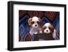 Cavalier Puppies Coming Out of a Ceramic Flower Pot-Zandria Muench Beraldo-Framed Photographic Print