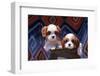 Cavalier Puppies Coming Out of a Ceramic Flower Pot-Zandria Muench Beraldo-Framed Photographic Print