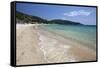 Cavaliere Plage-Stuart Black-Framed Stretched Canvas