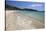 Cavaliere Plage-Stuart Black-Stretched Canvas