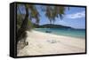 Cavaliere Plage-Stuart Black-Framed Stretched Canvas