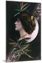 Cavalieri, Art Deco Paris-null-Mounted Art Print