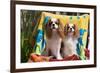 Cavaliers at a Pool Party-Zandria Muench Beraldo-Framed Photographic Print