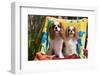 Cavaliers at a Pool Party-Zandria Muench Beraldo-Framed Photographic Print