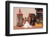 Cavaliers on Red Brick Patio-Zandria Muench Beraldo-Framed Photographic Print