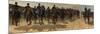 Cavalry, 1883-1888-George Hendrik Breitner-Mounted Giclee Print