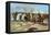 Cavalry Charge by Us Regulars, Spanish-American War, 1898-null-Framed Stretched Canvas