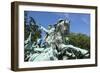 Cavalry Group on the Ulysses S. Grant Memorial in Washington, DC-Paul Souders-Framed Photographic Print