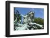 Cavalry Group on the Ulysses S. Grant Memorial in Washington, DC-Paul Souders-Framed Photographic Print