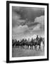 Cavalry in Maneuvers at Ft. Francis Warren-Horace Bristol-Framed Photographic Print