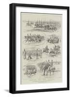 Cavalry Manoeuvres of the Bangalore Division, Madras Presidency, India-null-Framed Giclee Print