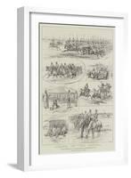 Cavalry Manoeuvres of the Bangalore Division, Madras Presidency, India-null-Framed Giclee Print