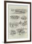 Cavalry Manoeuvres of the Bangalore Division, Madras Presidency, India-null-Framed Giclee Print