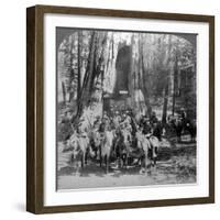 Cavalry Passing Through the Great Tree 'California, California, Usa-Underwood & Underwood-Framed Photographic Print