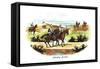 Cavalry Scouts-Richard Simkin-Framed Stretched Canvas