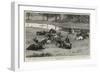 Cavalry Sports by the Eighth (King's Royal Irish) Hussars before the Duke and Duchess of Connaught-null-Framed Giclee Print