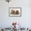 Cavapoo (Cavalier King Charles Spaniel X Poodle) Puppy with Rabbit, Guinea Pig and Ginger Kitten-Mark Taylor-Framed Photographic Print displayed on a wall