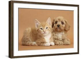 Cavapoo Puppy and Ginger Kitten-Mark Taylor-Framed Photographic Print