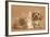 Cavapoo Puppy and Ginger Kitten-Mark Taylor-Framed Photographic Print