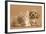 Cavapoo Puppy and Ginger Kitten-Mark Taylor-Framed Photographic Print