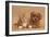 Cavapoo Puppy and Ginger Kitten-Mark Taylor-Framed Photographic Print