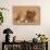 Cavapoo Puppy and Ginger Kitten-Mark Taylor-Stretched Canvas displayed on a wall