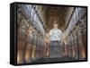 Cave 26, Chaitya, Unesco World Heritage Site, Ajanta, Maharashtra, India-Ivan Vdovin-Framed Stretched Canvas